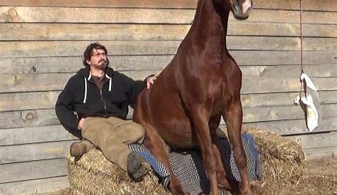 Thehorsebay Com Уолтер Гранд Ларсени