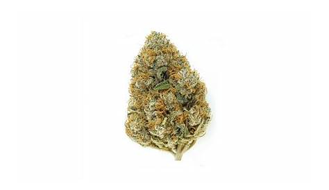 Все Bud Grapefruit Zlushiez Marijuana Strain Информация и отзывы