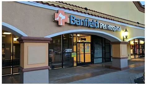 Больница Banfield Pet в Майами: часы работы вашего питомца вокруг часов ветеринаров