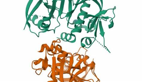 Проект 3hk0 Rcsb Pdb Кристаллическая структура Ra и Ph доменов Grb10