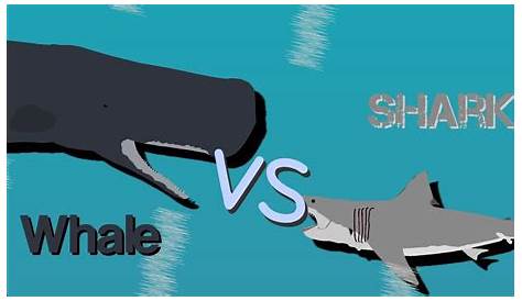 Sperm Whal Vs Great White Shark Stick Nodes (альбом)