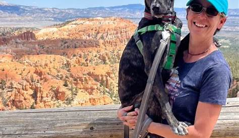 Ultimate Pet Friendly Guide to Shreveport Откройте для себя парки дружественных троп для домашних животных, и предприятиям разрешено иметь собак в национальном парке Брайс