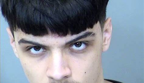 Mugshots Maricopa County Aztimeline Groups 2024 Джерри Евгения