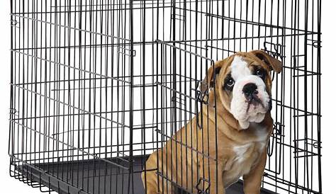 Ebay Dog Crates Cages щенок щенок складной металл складной 24 30 36 42 48 дюймов
