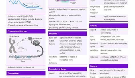 Ap Bio Unit 8 Mcq Logy Molecular Logy Cheat Sheet by Hlewsey Скачать