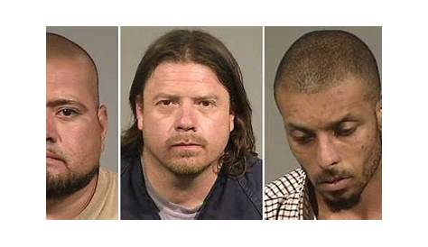 Sonoma County Jail Booking Logbadges Лог Шерилин Колвин