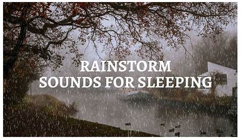 Rainstorm: друзья по сну: дождь и гром расслабляют сон