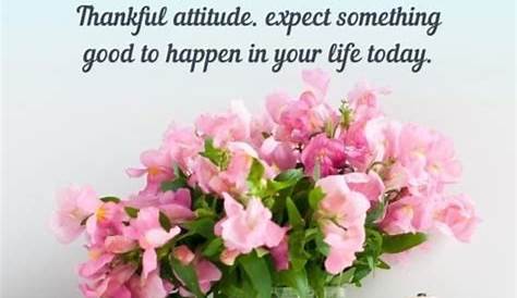 Оригинальное название: Good Morning Messages to Brighten Your Friend’s Day