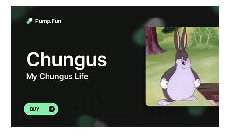 Оригинальное название: Embracing the Chaos: My Chungus Life Journey