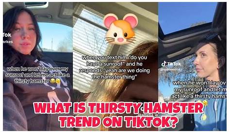 Оригинальное название: The Thirsty Hamster Sunroof: A Comprehensive Guide