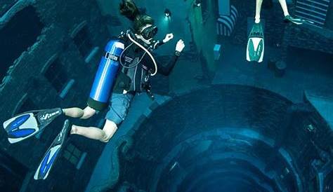 Оригинальное название: Leave the World Behind: A Deep Dive Into Its Themes and Impact