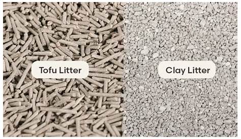 Оригинальное название: Clay Cat Litter: Benefits, Types, and Usage Tips