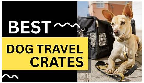 Оригинальное название: The Ultimate Guide to Dog Crate Travel: Ensuring Safe and Comfortable Journeys