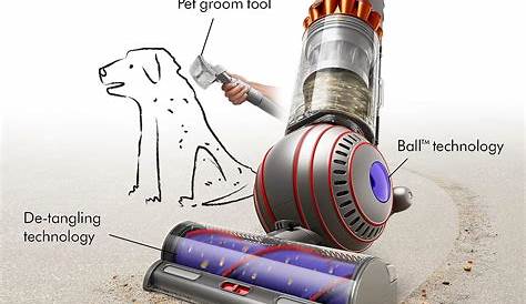 Покупка Ball Animal 3 на Amazon или Dyson: какой вариант лучше для вас?