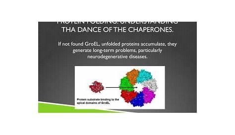 Оригинальное название: The Ultimate Guide to Understanding Unfolded Proteins
