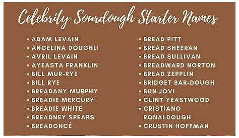 Оригинальное название: Sourdough Starter Names: Creative And Fun Ideas For Your Fermentation Journey
