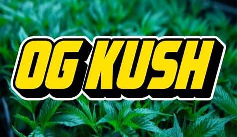 Guia Kush: The Ultimate Guide to Understanding This Unique Strain (альбом)