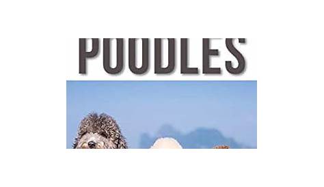 Все, что вам нужно знать о Pokey Poodles: полное руководство