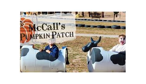 Оригинальное название: McCall’s Pumpkin Patch in Moriarty: A Family-Friendly Adventure