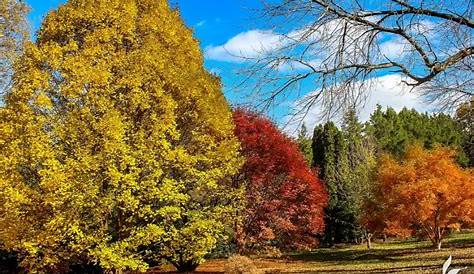 Klehm Arboretum & Botanic Garden: A Hidden Gem in Rockford (недоступная ссылка — история).
