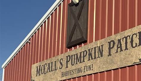 Оригинальное название: McCall’s Pumpkin Patch in New Mexico: A Perfect Fall Destination