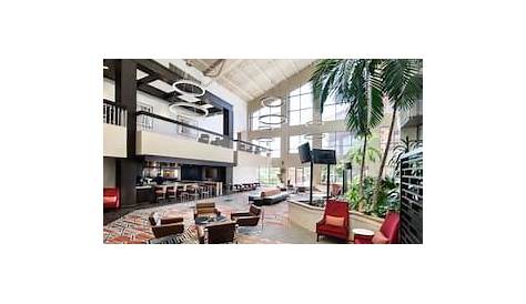 Удобство двойного дерева от Hilton Denver Tech Center