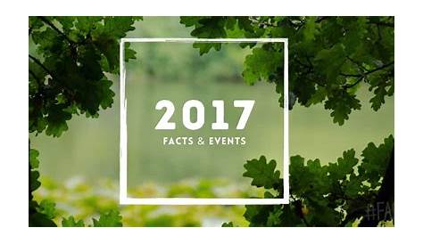 Что случилось в 2017 году: год перемен и событий