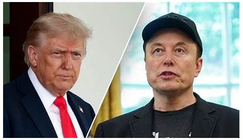 Илон Маск пожертвовал деньги Дональду Трампу? — Исследование их финансовых связей