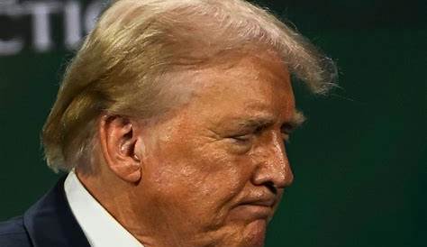 Ухо Дональда Трампа было застрелено? Глубокое погружение в спор