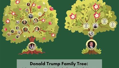 34 правила Дональда Трампа: всеобъемлющее руководство