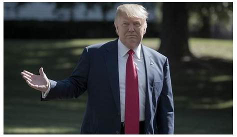 Каково наказание Дональда Трампа? Понимание правовых последствий его действий