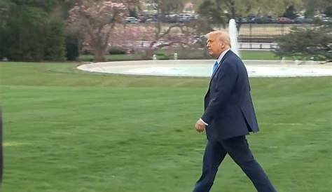 Дональд Трамп выходит на 50 центов: смелая встреча, которая привлекла внимание