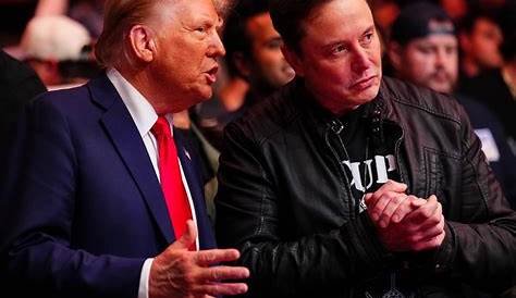 Где смотреть Илона Маска и Дональда Трампа: ваш окончательный гид