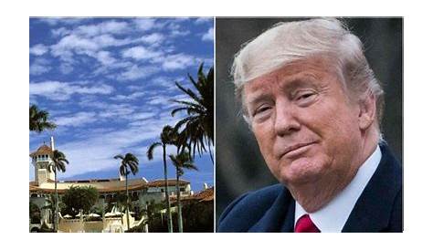 Исследование влияния и наследия видео Дональда Трампа