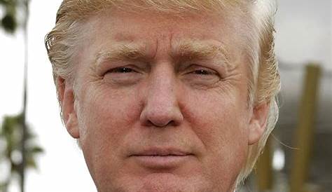 Дональд Трамп: глубоко погрузился в свою жизнь и карьеру