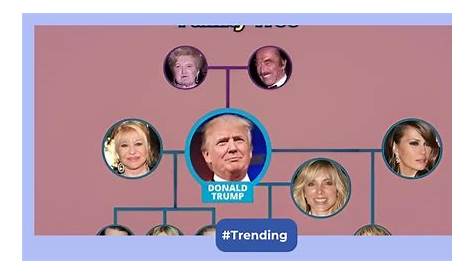 Сколько внуков у Дональда Трампа?