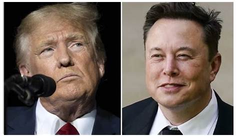 Илон Маск в понедельник проведет интервью с Дональдом Трампом: чего ожидать