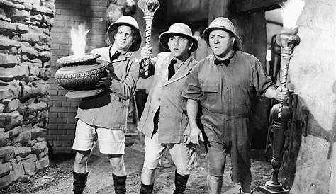 Оригинальное название: Three Stooges Star