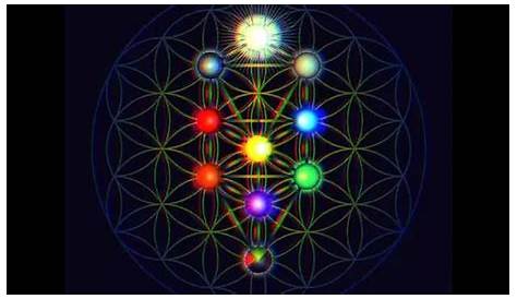 Оригинальное название: The Essence of Kavas: An Insightful Guide