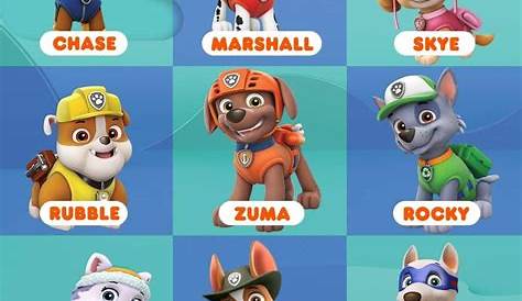 Paw Patrol — имена персонажей и фотографии