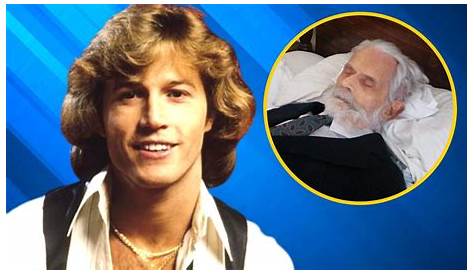Оригинальное название: The Life of Andy Gibb’s Daughter: A Journey Through Time