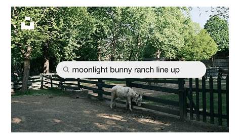 Оригинальное название: The Allure of Bunny Ranch Moonlight: A Comprehensive Exploration