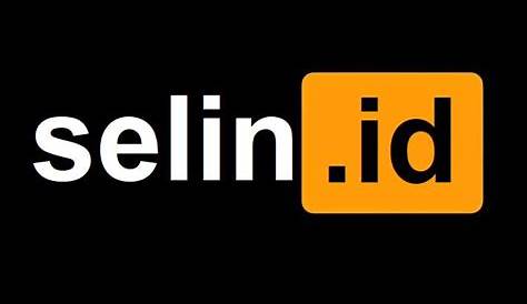 Оригинальное название: The Insights of Selin ID: An InDepth Exploration