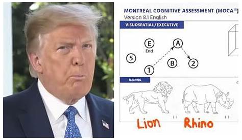 Понимание IQ Трампа: комплексный анализ