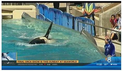 Заинтригованный Тиликум: Факты о споре о косе раскрыли Seaworld, который убил тренера, умер в новостях Mpr