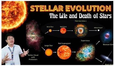 Влияние звезды Арикса на звездную сущность Stellr Evolution Life Nd Deth Evolutions