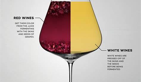 Оригинальное название: The Ultimate Guide to the Key Differences Between White and Red Wine Vs An Deep Comparison of Flavors Production
