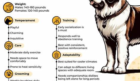 Долголетие собак Сен-Бернара: комплексный гид породы Nd Dog Insurnce Pln Helthy Pws Pet