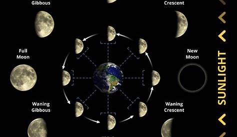 Сколько времени длится фаза восхода Луны и как Y образуются фазы