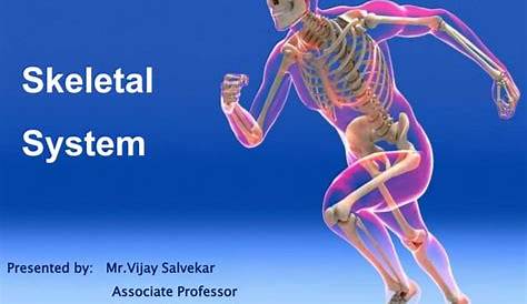 При описании аномальных кривизн можно сказать, что презентация Powerpot Ppt Skeletal System бесплатно скачать Id2049227